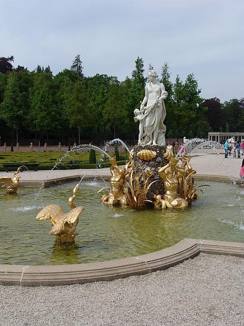 DSC02346