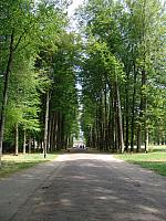 DSC02319